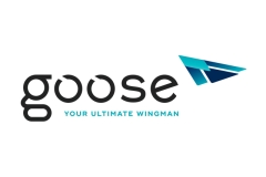 identity_Goose_1